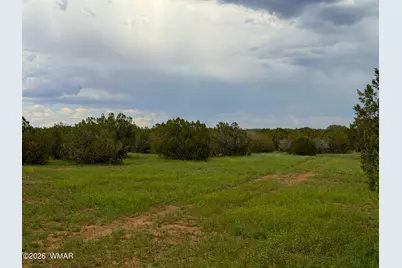 0 E Gample Ln. 39 Acres, Show Low, AZ 85901 - Photo 4