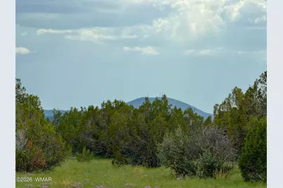 0 E Gample Ln. 39 Acres, Show Low, AZ 85901 - Photo 2