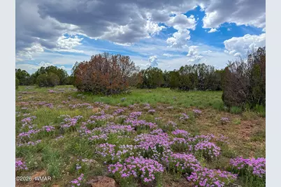 0 E Gample Ln. 39 Acres, Show Low, AZ 85901 - Photo 10