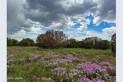 0 E Gample Ln. 39 Acres, Show Low, AZ 85901 - Photo 6
