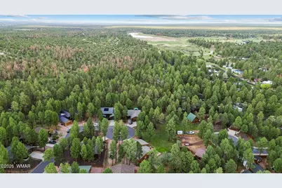 1151 N Needles Creek Drive, Show Low, AZ 85901 - Photo 48