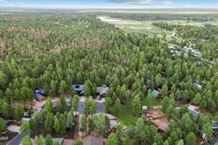 1151 N Needles Creek Dr, Show Low, AZ 85901 - Photo 48
