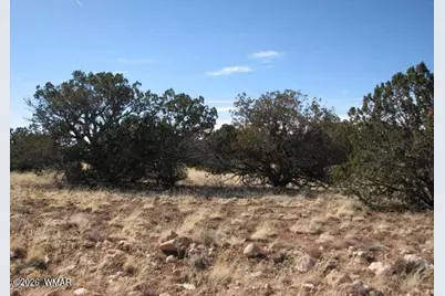985 Ellsworth Drive, Heber, AZ 85928 - Photo 2