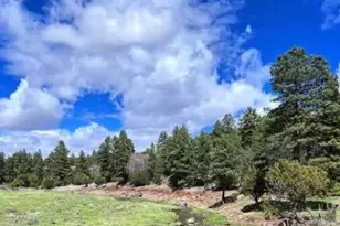 1501 E Stock St, Show Low, AZ 85901 - Photo 18