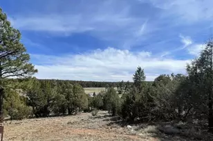 1501 E Stock St, Show Low, AZ 85901 - Photo 14