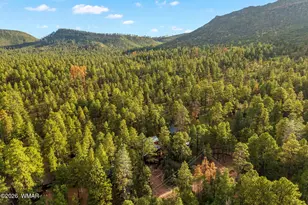 12 County Road 2070, Alpine, AZ 85920 - Photo 58