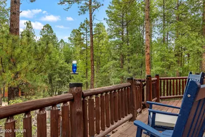 12 County Road 2070, Alpine, AZ 85920 - Photo 8