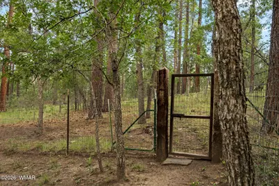 12 County Road 2070, Alpine, AZ 85920 - Photo 52