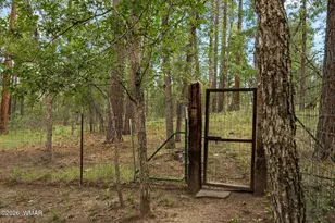 12 County Road 2070, Alpine, AZ 85920 - Photo 52