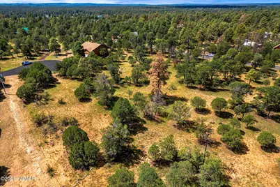 2864 Buck Circle, Overgaard, AZ 85933 - Photo 14