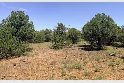 8564 Pine Lane, Show Low, AZ 85901 - Photo 4