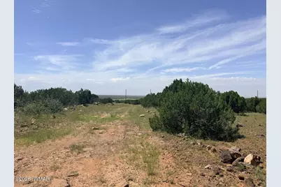 8564 Pine Lane, Show Low, AZ 85901 - Photo 1