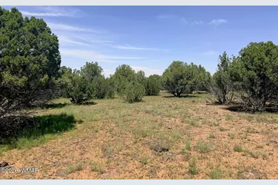 8564 Pine Lane, Show Low, AZ 85901 - Photo 8