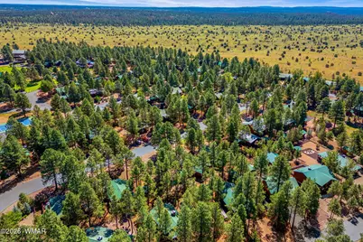 2701 Palomino Trail, Overgaard, AZ 85933 - Photo 30