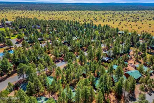 2701 Palomino Trail, Overgaard, AZ 85933 - Photo 30