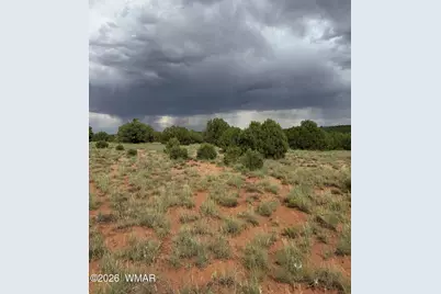 4205 Pinon Lane, Snowflake, AZ 85937 - Photo 2