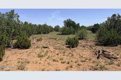 8831 Supancheck Road, Show Low, AZ 85901 - Photo 6