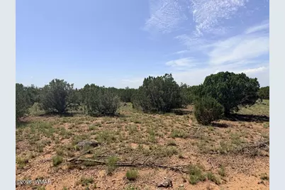 8831 Supancheck Road, Show Low, AZ 85901 - Photo 4