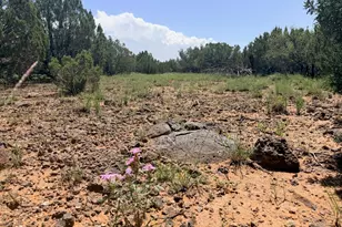 8831 Supancheck Rd, Show Low, AZ 85901 - Photo 1