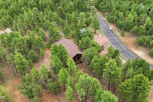 4729 Stallion Rd, Happy Jack, AZ 86024 - Photo 44