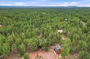 4729 Stallion Rd, Happy Jack, AZ 86024 - Photo 48