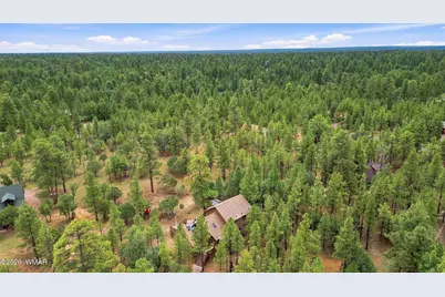 2150 Dakota Circle, Happy Jack, AZ 86024 - Photo 46
