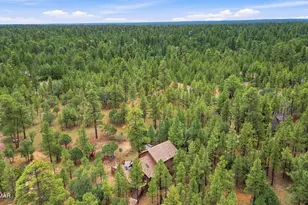 2150 Dakota Cir, Happy Jack, AZ 86024 - Photo 46