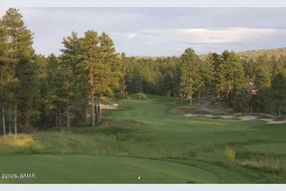 676 W Rim Road, Pinetop, AZ 85935 - Photo 44