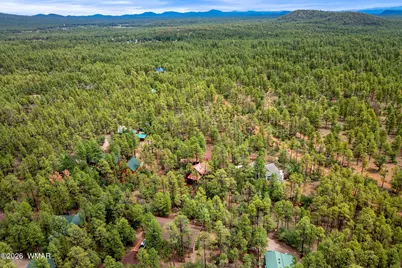 676 W Rim Road, Pinetop, AZ 85935 - Photo 36