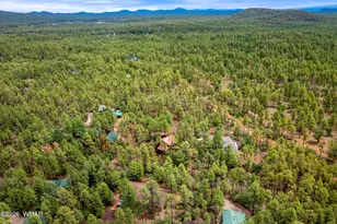 676 W Rim Rd, Pinetop, AZ 85935 - Photo 36