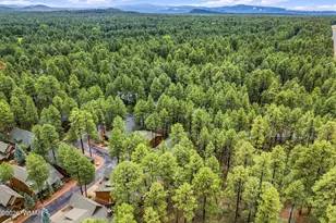 3915 Elk Hollow Ln, Pinetop, AZ 85935 - Photo 44