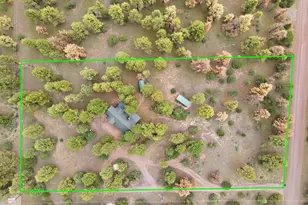 7 Co Rd 2019, Nutrioso, AZ 85932 - Photo 8