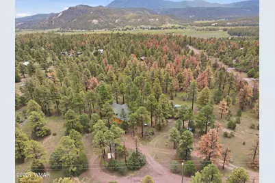 7 Co Rd 2019, Nutrioso, AZ 85932 - Photo 58