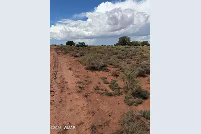 3264 S Coolidge Road, Williams, AZ 86046 - Photo 4
