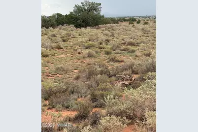 3264 S Coolidge Road, Williams, AZ 86046 - Photo 10