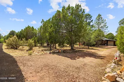 2926 Homestead Drive, Overgaard, AZ 85933 - Photo 26