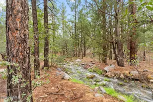 3871 W Sugar Pine Way, Show Low, AZ 85901 - Photo 4
