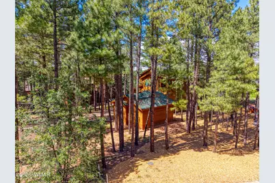 2600 W Snowberry Loop, Show Low, AZ 85901 - Photo 32