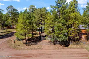 2867 Pine Rim Rd, Overgaard, AZ 85933 - Photo 28