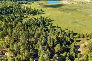 15 Cr N 2145, Alpine, AZ 85920 - Photo 32