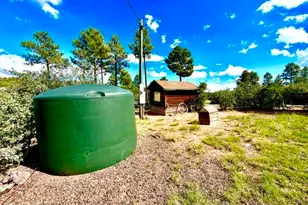 1681 Cactus Flower Rd, Show Low, AZ 85901 - Photo 34