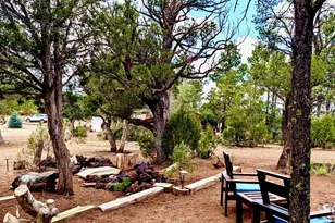 1681 Cactus Flower Rd, Show Low, AZ 85901 - Photo 36