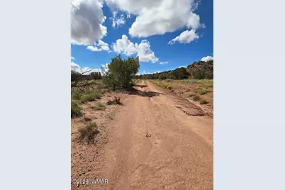 3861 Coronado Road, Snowflake, AZ 85937 - Photo 30