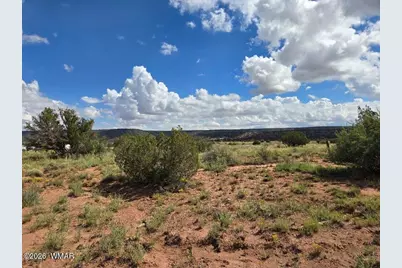 3861 Coronado Road, Snowflake, AZ 85937 - Photo 4