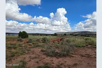 3861 Coronado Road, Snowflake, AZ 85937 - Photo 12
