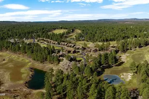 3950 W Hawthorn Rd, Show Low, AZ 85901 - Photo 22