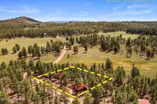16 County Rd 2271, Alpine, AZ 85920 - Photo 62