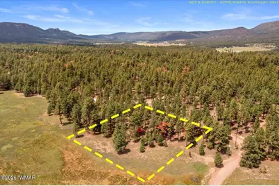 16 County Road 2271, Alpine, AZ 85920 - Photo 60