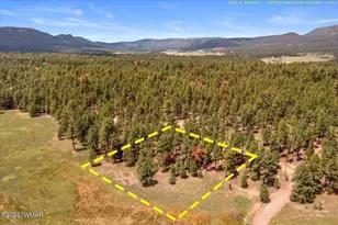 16 County Rd 2271, Alpine, AZ 85920 - Photo 60