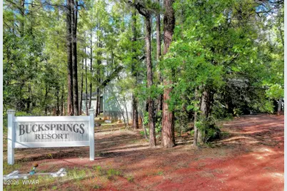 6126 Buck Springs Road, Pinetop, AZ 85935 - Photo 1